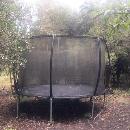 Cabanas Ensenada Bosque Nativo Екстериор снимка