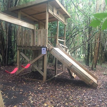 Cabanas Ensenada Bosque Nativo Екстериор снимка