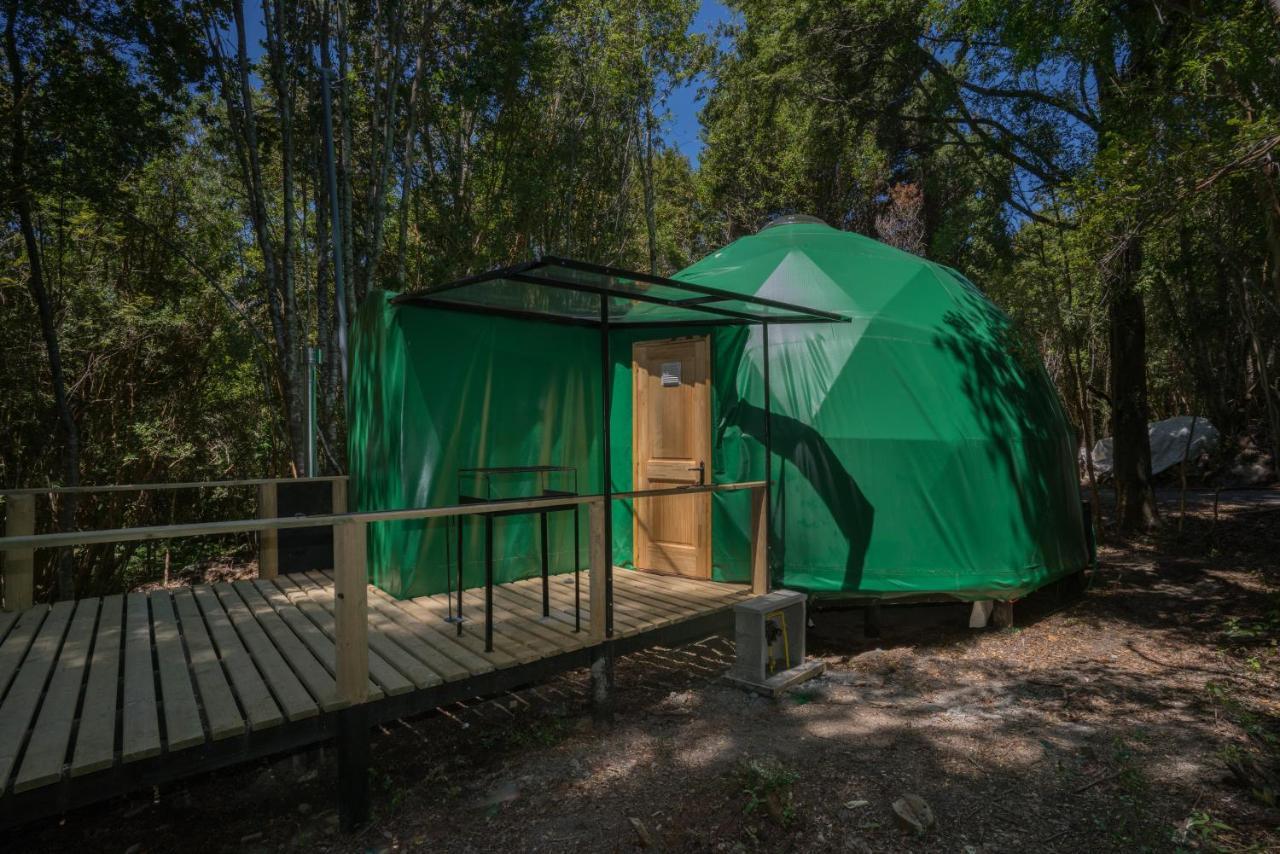 Cabanas Ensenada Bosque Nativo Екстериор снимка
