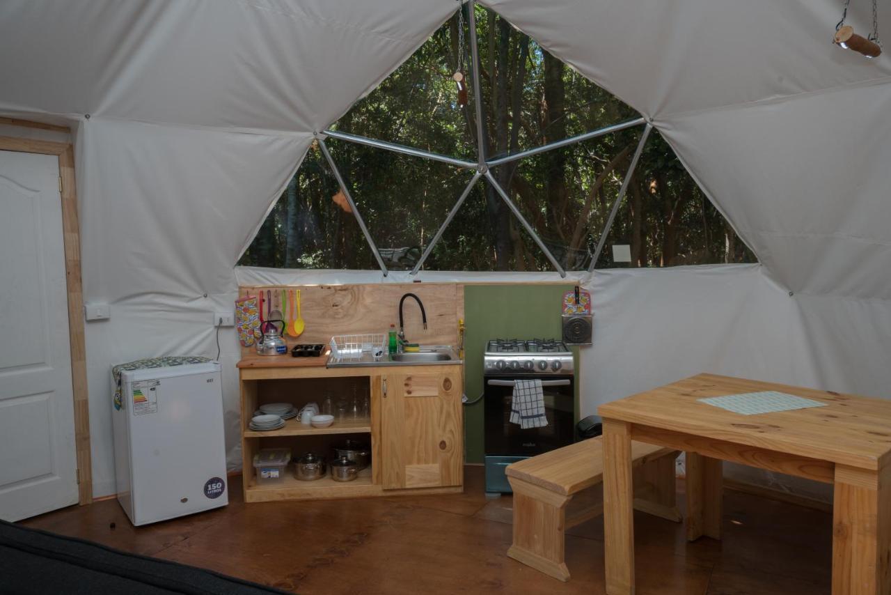 Cabanas Ensenada Bosque Nativo Екстериор снимка