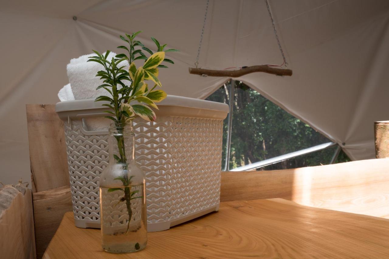 Cabanas Ensenada Bosque Nativo Екстериор снимка