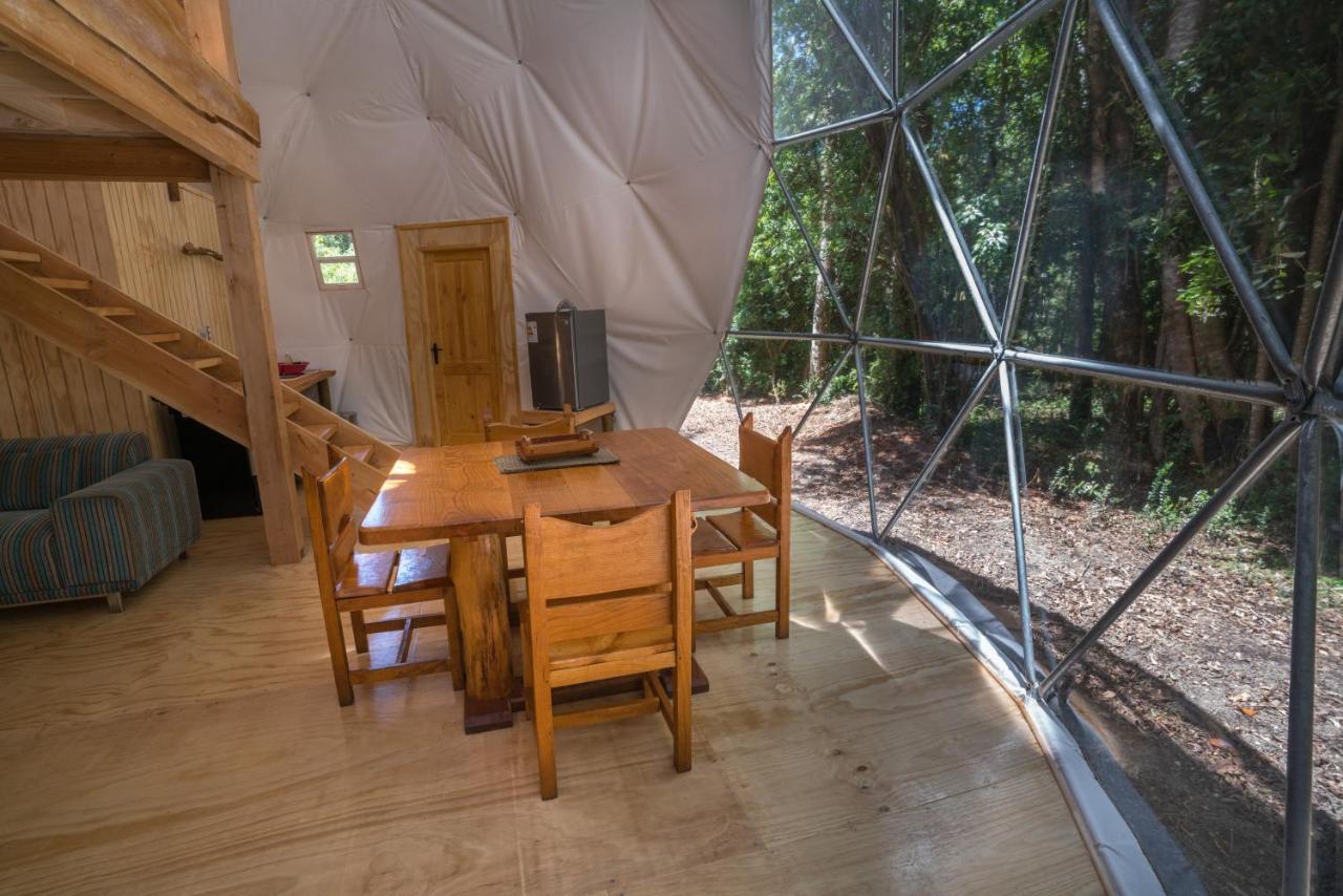 Cabanas Ensenada Bosque Nativo Екстериор снимка
