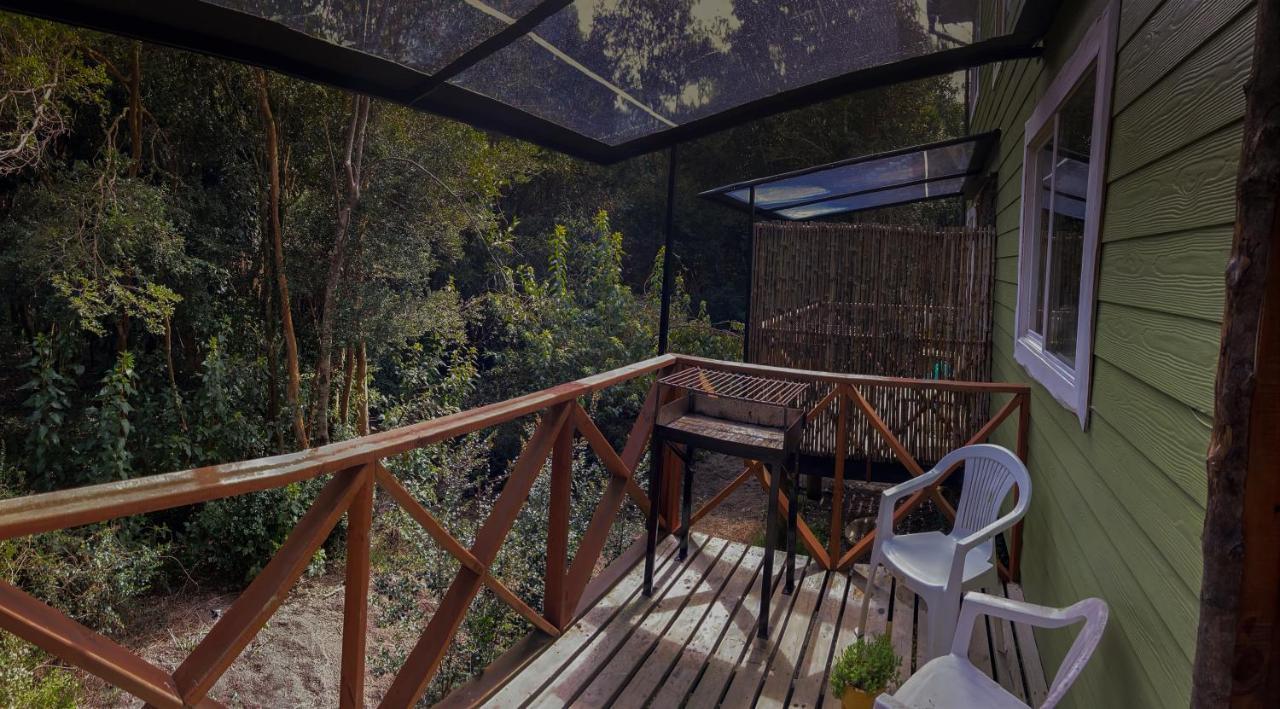 Cabanas Ensenada Bosque Nativo Екстериор снимка