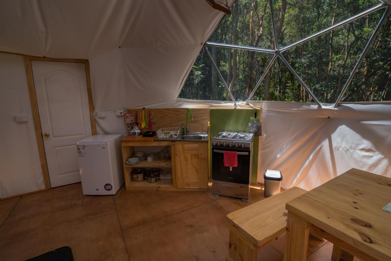 Cabanas Ensenada Bosque Nativo Екстериор снимка