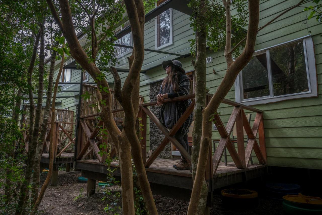 Cabanas Ensenada Bosque Nativo Екстериор снимка