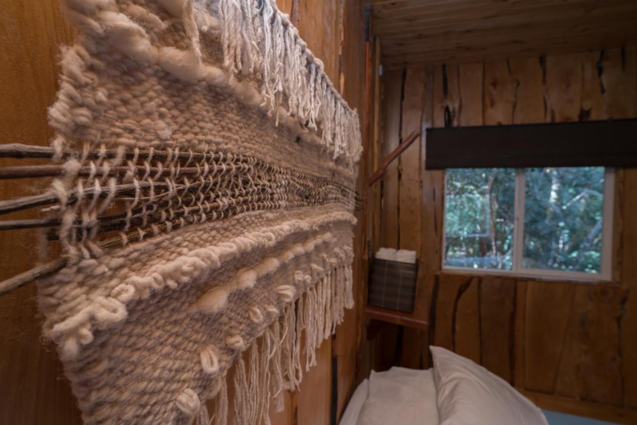 Cabanas Ensenada Bosque Nativo Екстериор снимка