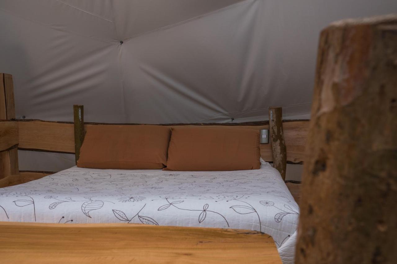 Cabanas Ensenada Bosque Nativo Екстериор снимка