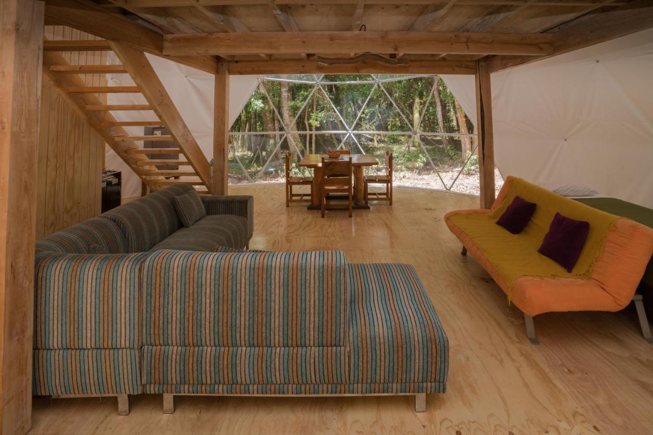 Cabanas Ensenada Bosque Nativo Екстериор снимка
