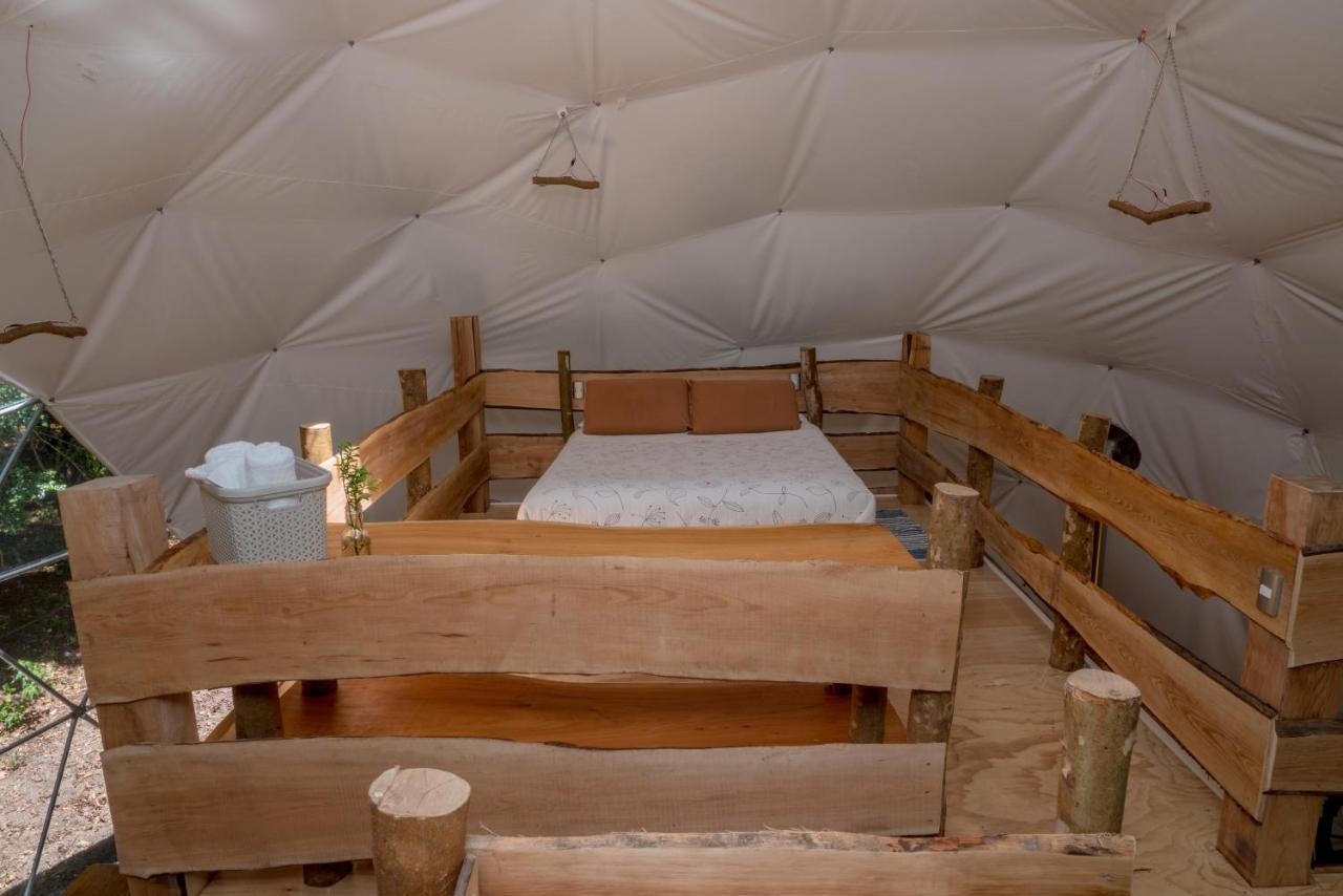 Cabanas Ensenada Bosque Nativo Екстериор снимка