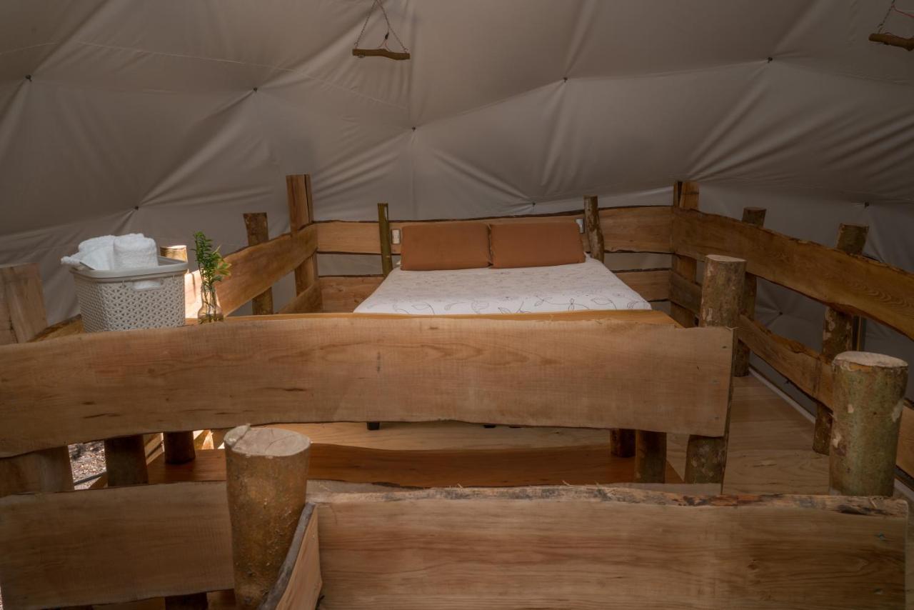 Cabanas Ensenada Bosque Nativo Екстериор снимка