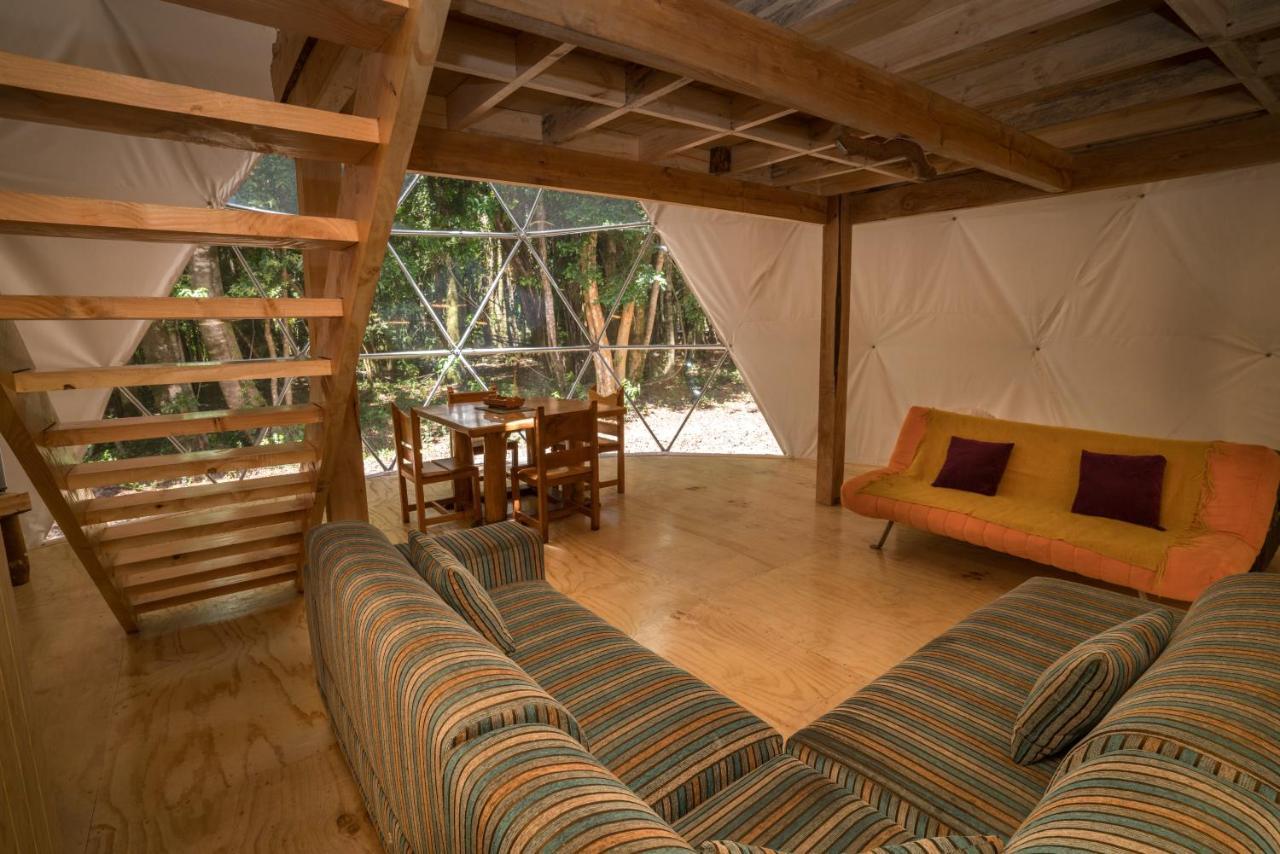 Cabanas Ensenada Bosque Nativo Екстериор снимка