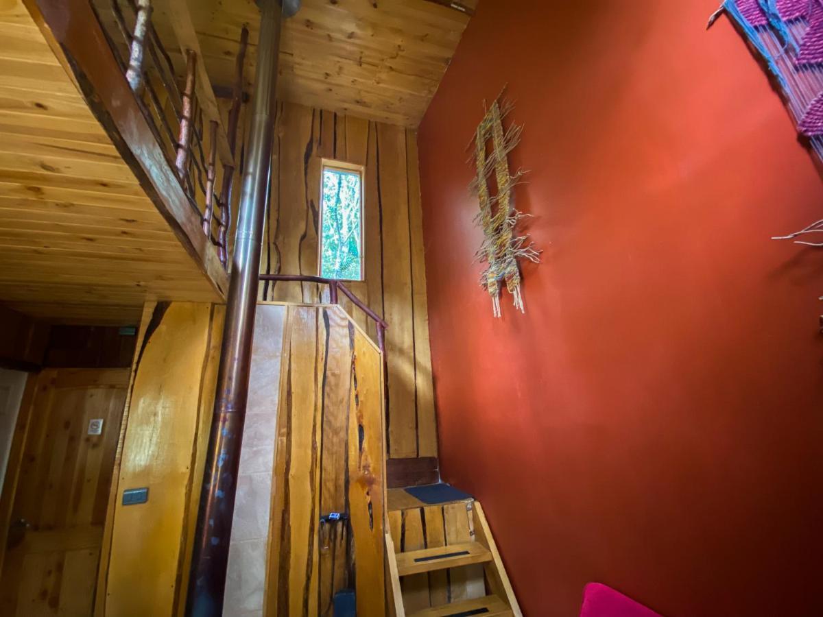 Cabanas Ensenada Bosque Nativo Екстериор снимка