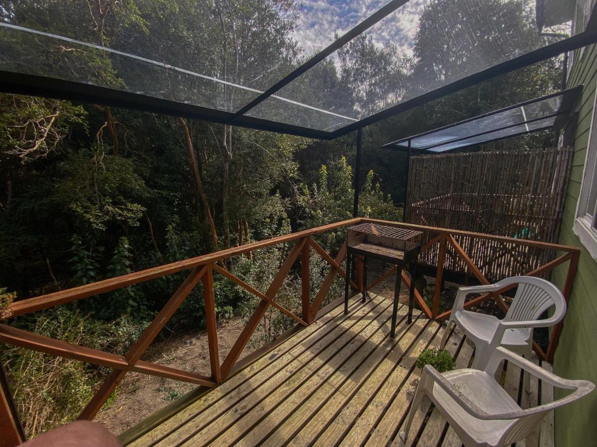 Cabanas Ensenada Bosque Nativo Екстериор снимка