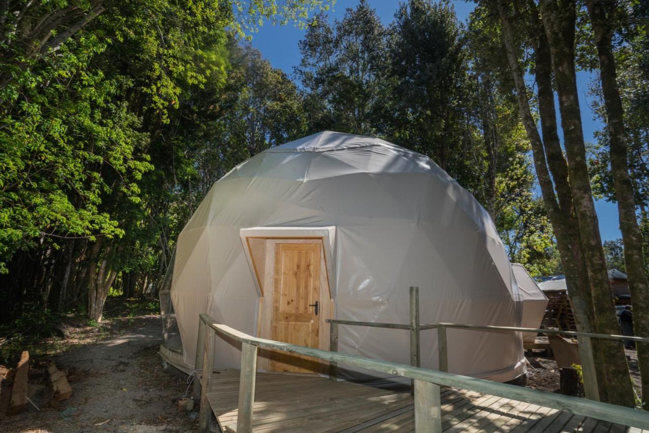 Cabanas Ensenada Bosque Nativo Екстериор снимка