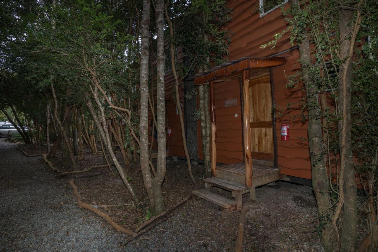 Cabanas Ensenada Bosque Nativo Екстериор снимка