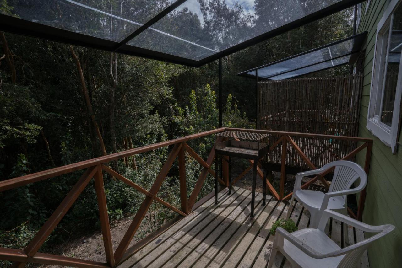 Cabanas Ensenada Bosque Nativo Екстериор снимка