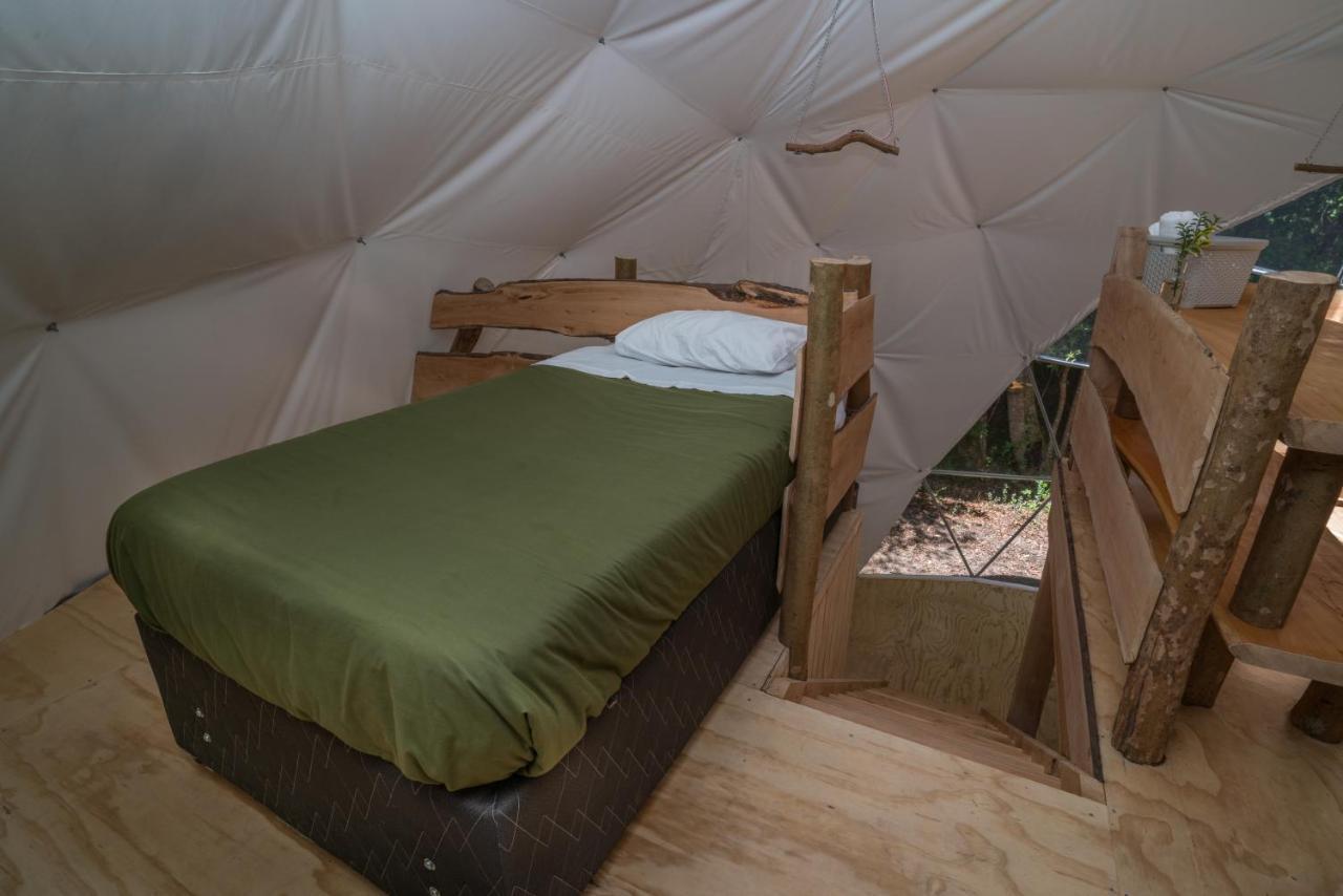 Cabanas Ensenada Bosque Nativo Екстериор снимка