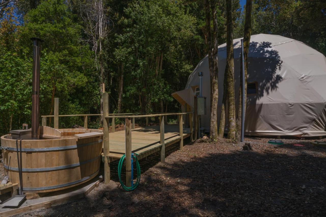 Cabanas Ensenada Bosque Nativo Екстериор снимка