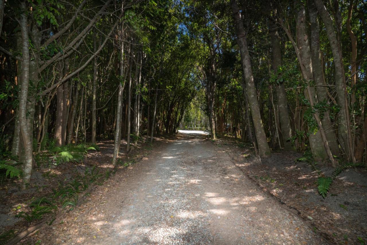 Cabanas Ensenada Bosque Nativo Екстериор снимка