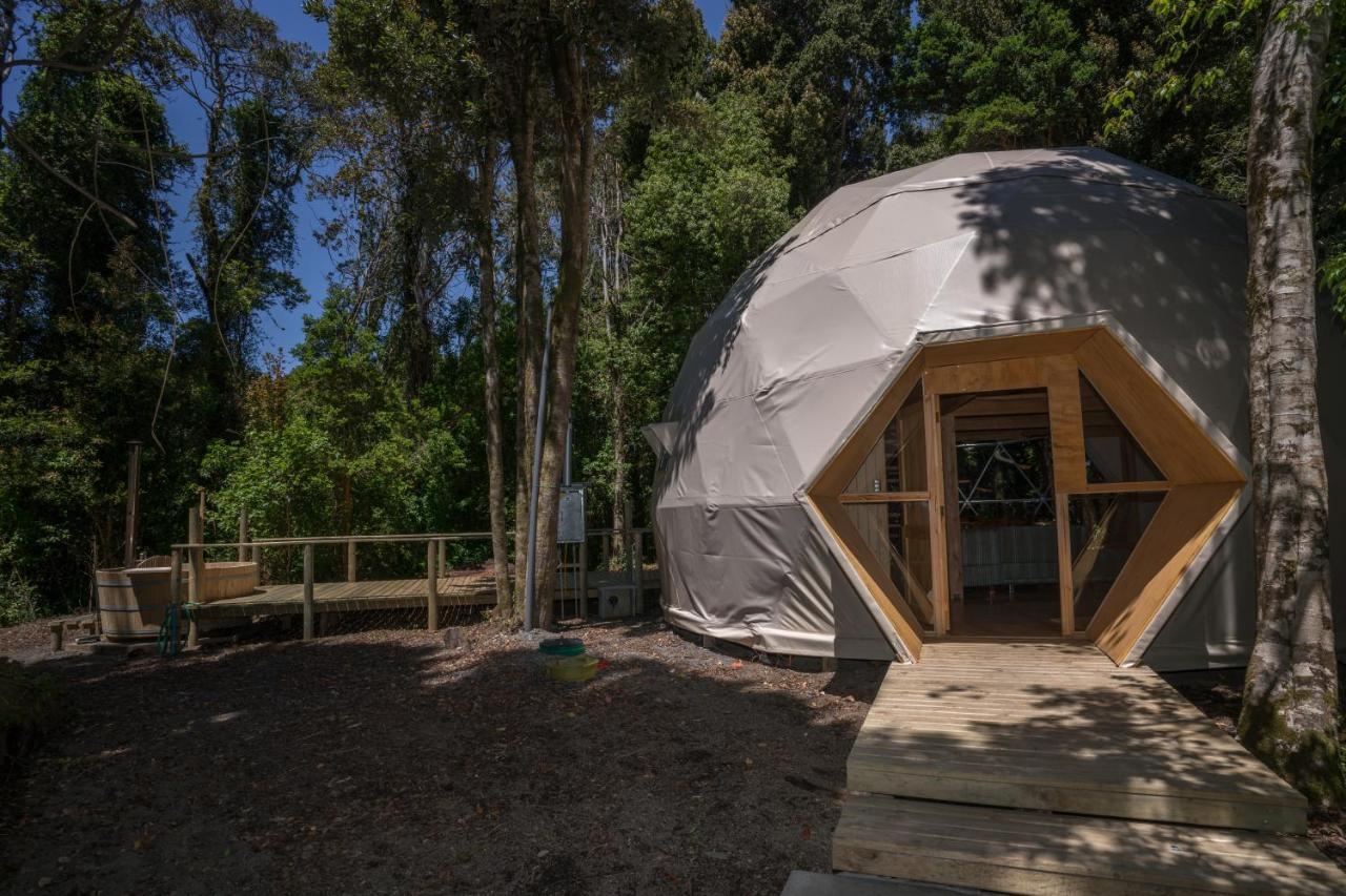 Cabanas Ensenada Bosque Nativo Екстериор снимка