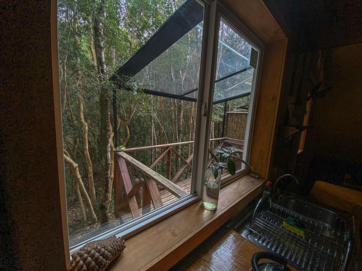 Cabanas Ensenada Bosque Nativo Екстериор снимка
