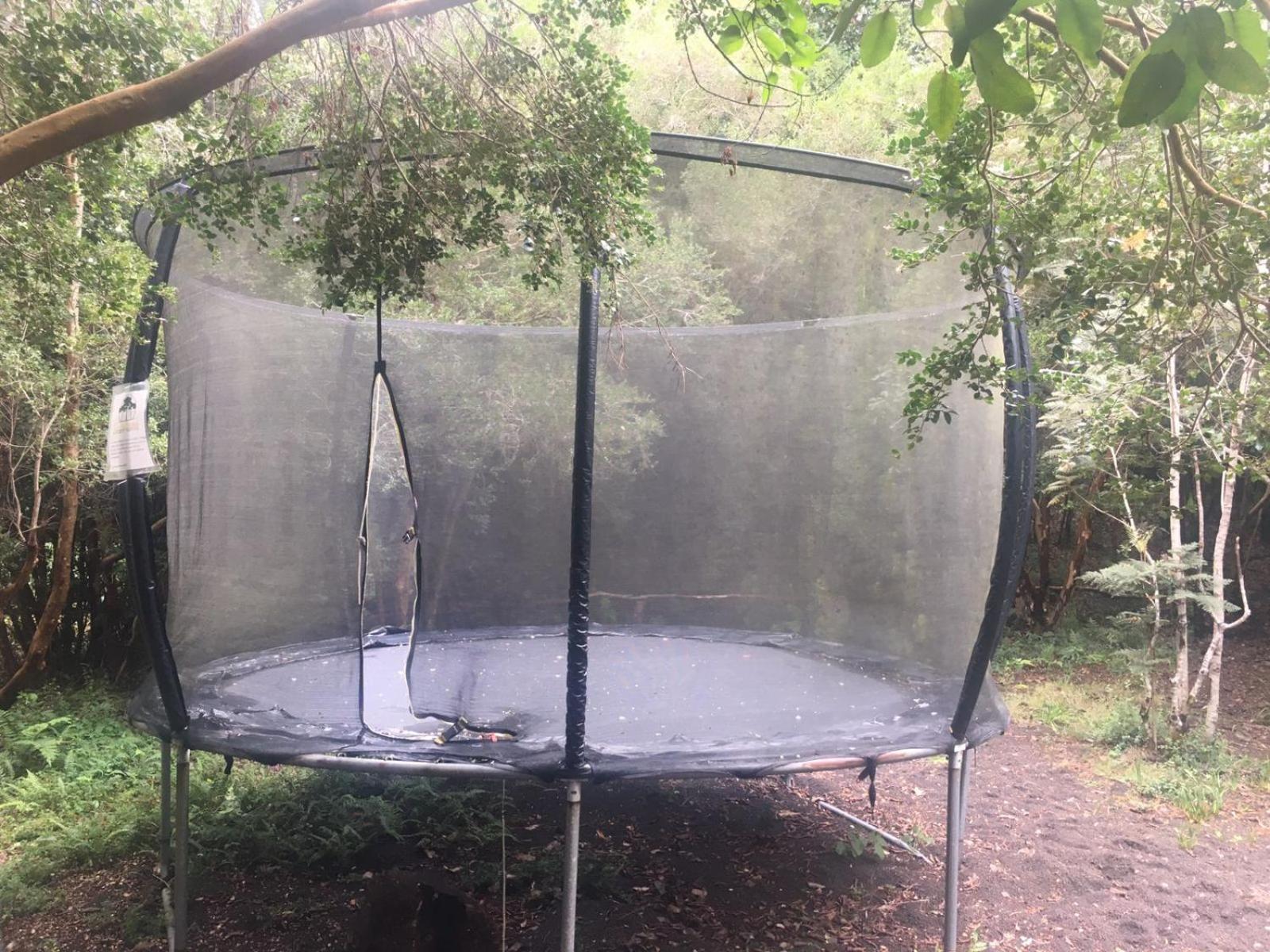 Cabanas Ensenada Bosque Nativo Екстериор снимка