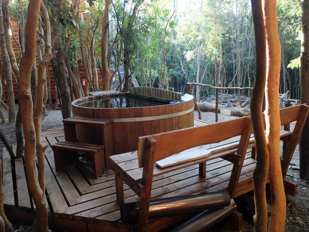 Cabanas Ensenada Bosque Nativo Екстериор снимка