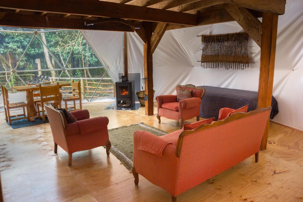 Cabanas Ensenada Bosque Nativo Екстериор снимка