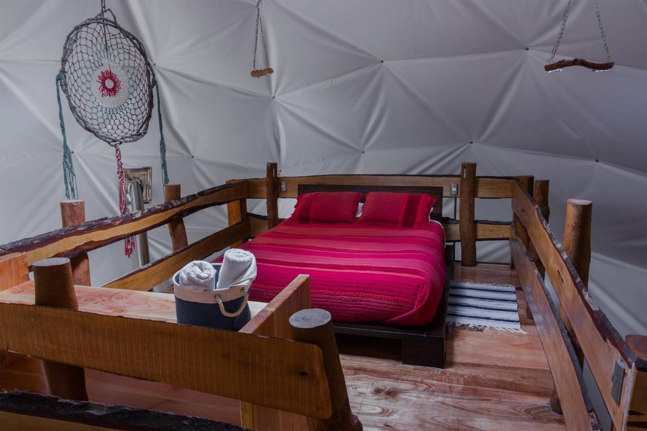 Cabanas Ensenada Bosque Nativo Екстериор снимка