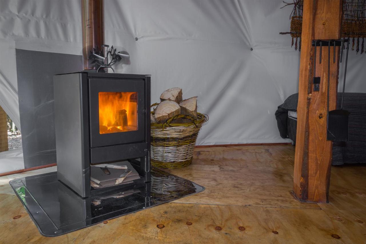 Cabanas Ensenada Bosque Nativo Екстериор снимка