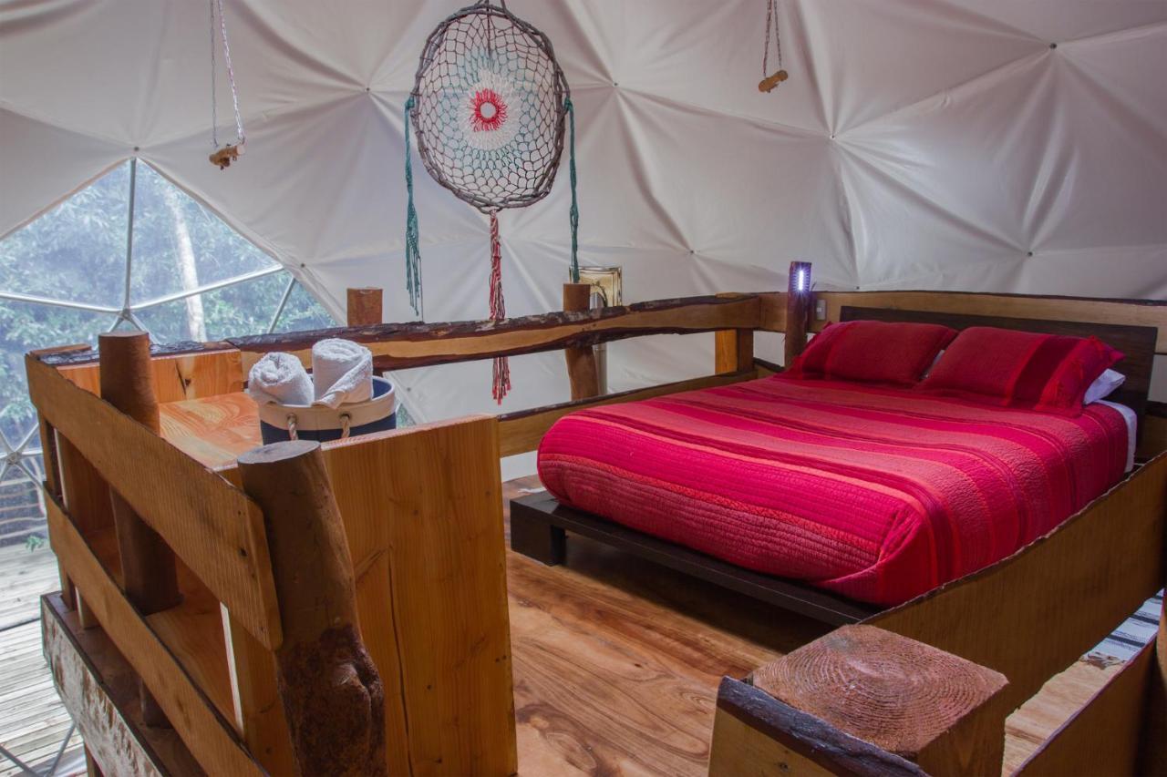 Cabanas Ensenada Bosque Nativo Екстериор снимка