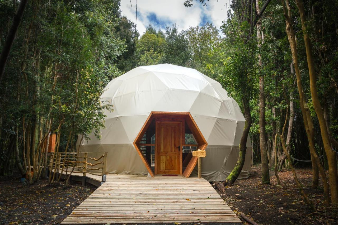 Cabanas Ensenada Bosque Nativo Екстериор снимка