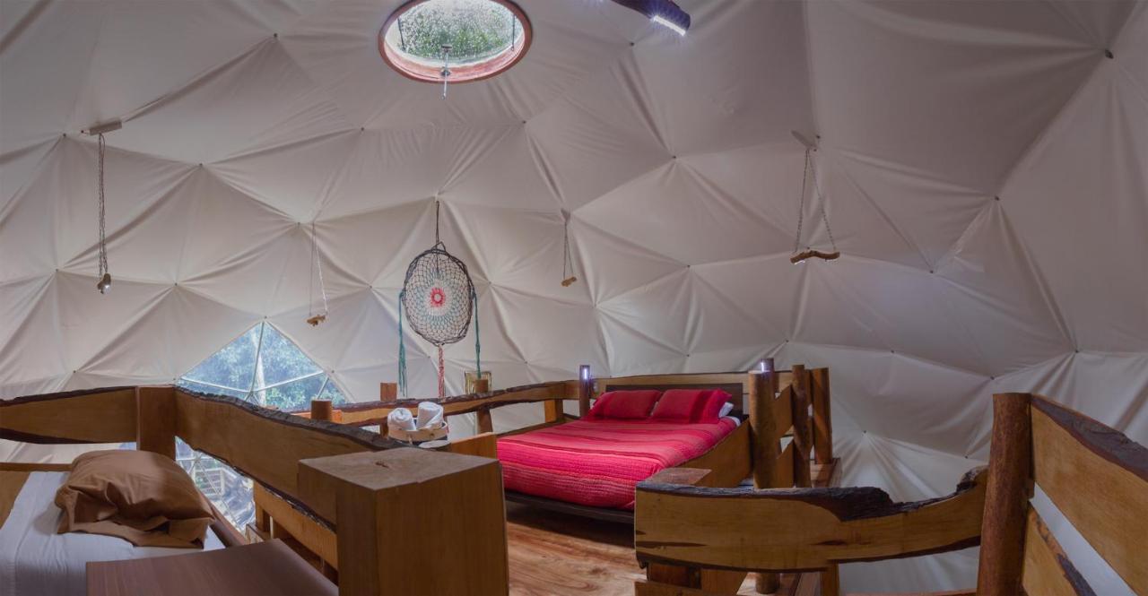 Cabanas Ensenada Bosque Nativo Екстериор снимка
