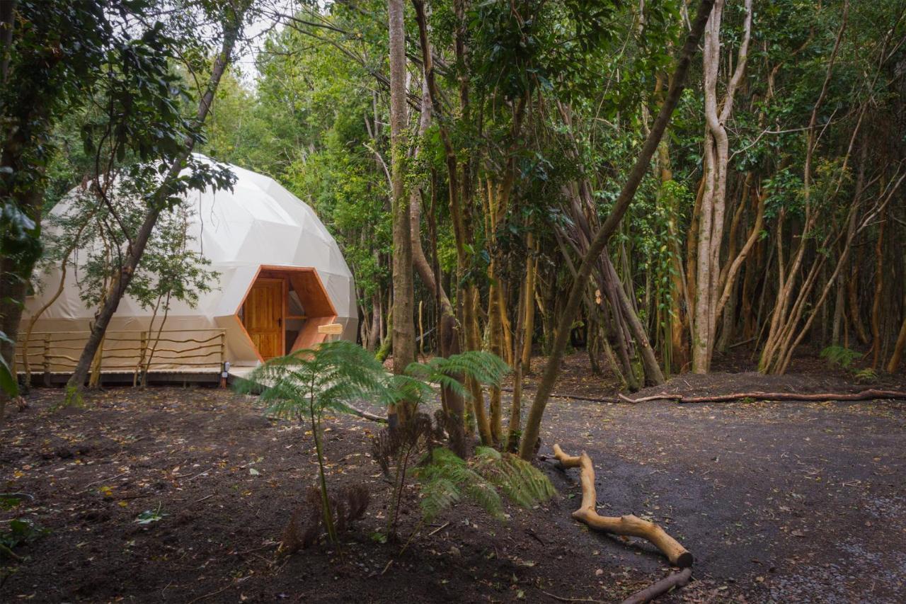 Cabanas Ensenada Bosque Nativo Екстериор снимка