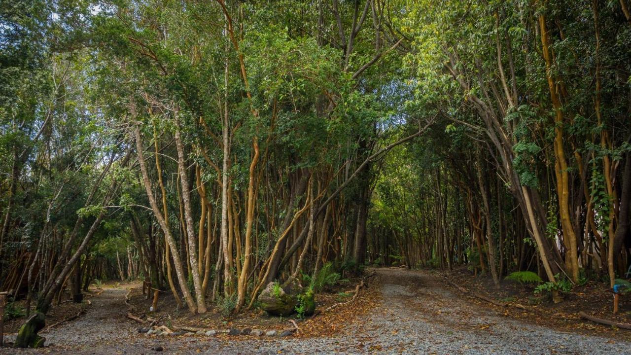 Cabanas Ensenada Bosque Nativo Екстериор снимка