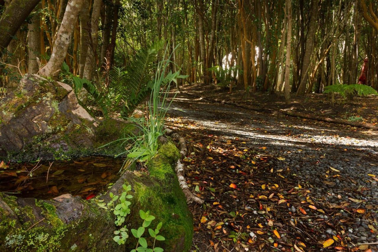 Cabanas Ensenada Bosque Nativo Екстериор снимка